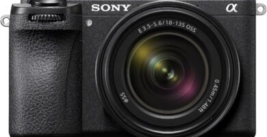 Sony Alpha 6700 with Sony E 16-55mm f/2.8 G