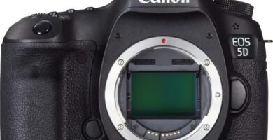 Canon 5D III Digital SLR Camera – Body Only