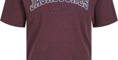 JACK & JONES Men’s Jjecaleb Varsity Tee Ss O-Neck Noos T-Shirt