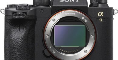 Sony ILCE-9M2 Full-Frame 24.2MP Mirrorless Interchangeable Lens Camera Body Only (Black)