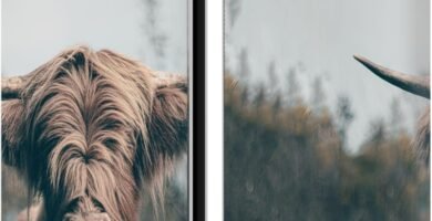 Head Case Designs Officially Licensed Patrik Lovrin Highland Cow Animal Portraits Leather Book Wallet Case Cover Compatible With Kindle Paperwhite 5 (2021)