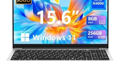 Insoluxia 15.6 inch Laptop, Celeron N4000 CPU Notebook, Windows 11 Laptop 8GB LPDDR4 RAM 256GB SSD, 1920 * 1080 FHD Screen, USB3.0, WiFi, Mini HDMI, TF Card Slot, BT4.2