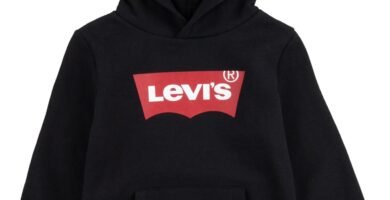 Levi’s Boys Screenprint Batwing Pullover Hoodie Boy