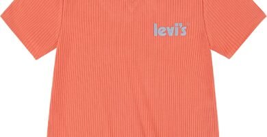 Levi’s Girl’s Lvg Short Sleeve Notch Baby Tee 3ee410