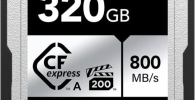 Lexar 320GB Professional CFexpress Type A SILVER Series Memory Card, Compatible with Sony Cameras w/Type A Card Slot, Up to 800/700 MB/s Read/Write, 8K Video, VPG 200 (LCAEXSL320G-RNENG)