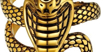 Richsteel Retro Snake Rings for Women Men, Gothic Python Animal Finger Ring Y2K Jewellery, Engraved Available, Send with Gift Box Richsteel Retro Snake Rings for Women Men, Gothic Python Animal Finger Ring Y2K Jewellery, Engraved Available, Send with Gift Box