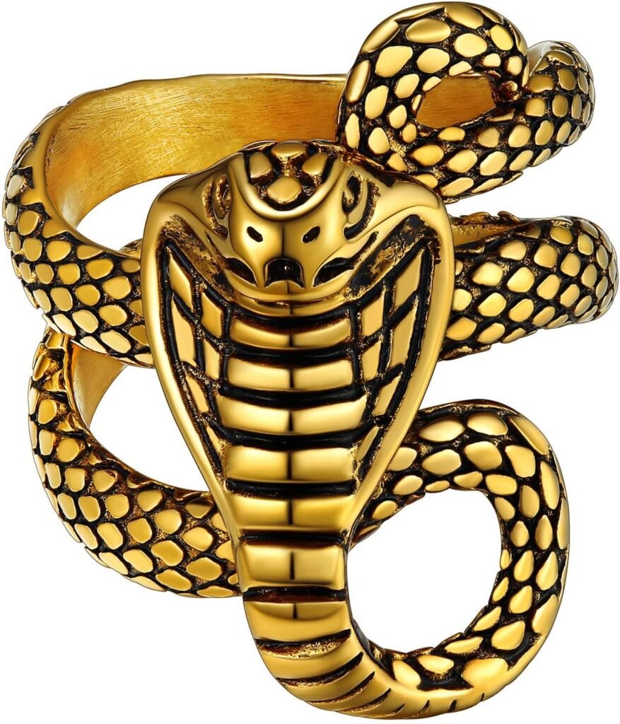 Richsteel Retro Snake Rings for Women Men, Gothic Python Animal Finger Ring Y2K Jewellery, Engraved Available, Send with Gift Box