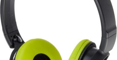 Sony MDR-ZX310 H Dynamic MDR-ZX310-H Closed Headphones – Lime Green/Grey