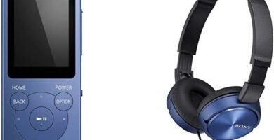 Sony NW-E394 Walkman MP3 Player with FM Radio, 8 GB (Blue) and Sony MDRZX310L.AE Foldable Headphones (Metallic Blue)