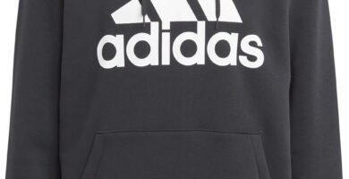 adidas Men’s Essentials Fleece Big Logo Hoodie Hooded Sweat