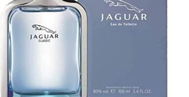 Jaguar Classic Eau De Toilette 100ml Spray Jaguar Classic Eau De Toilette 100ml Spray