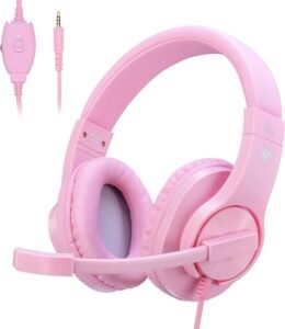 headphones with mic