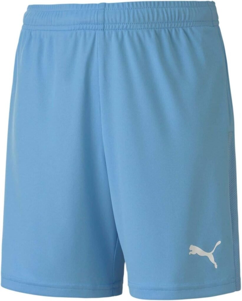 PUMA Boy’s Teamgoal 23 Knit Shorts Jr Knitted Shorts