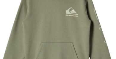 Quiksilver Boy’s Omni Logo Hoodie Youth Pullover Sweater (pack of 1)